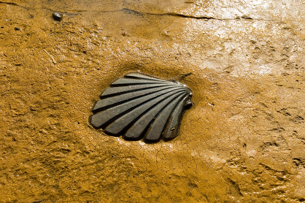 Unterwegs auf dem Jakobsweg – die Muschel als Wegweiser.