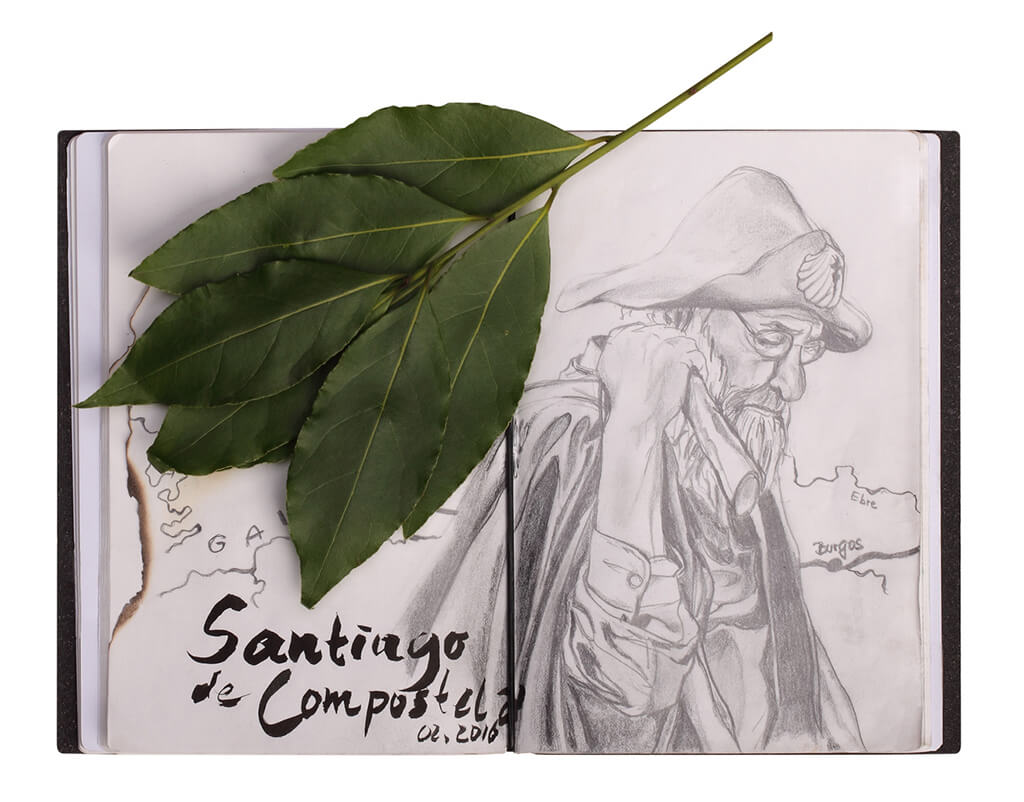 Untergwegs auf dem Jakobsweg – wenn die Muse einer küsst.