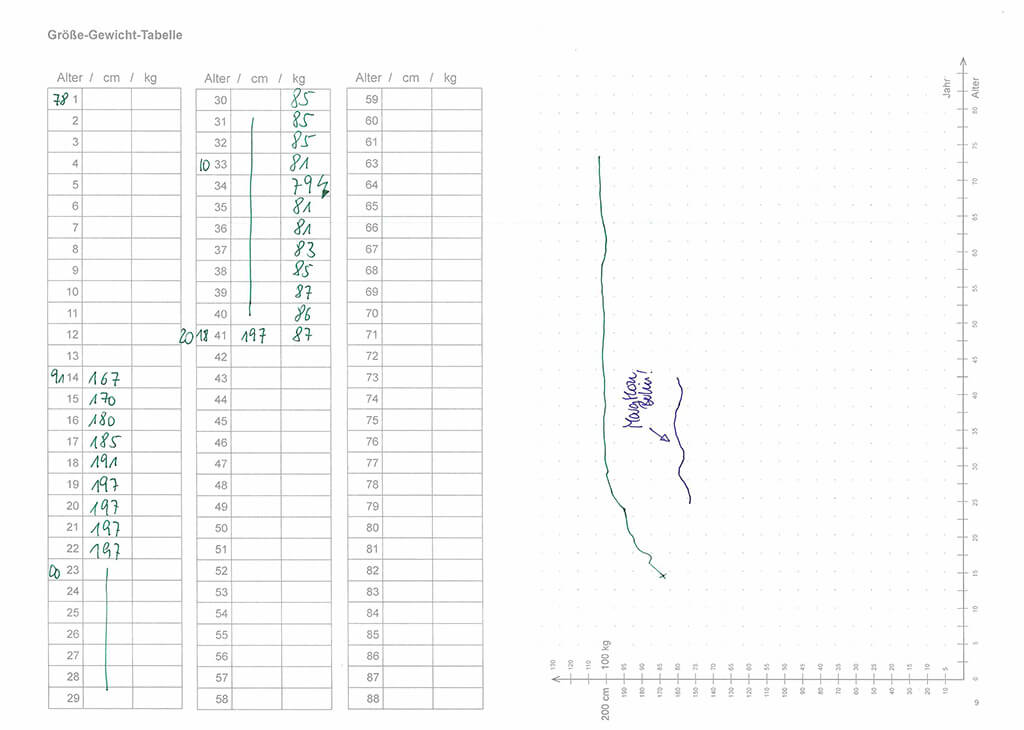 Das Gesundheitsheft – Inhaltsbeispiel – Gesundheitshistorie dokumentieren