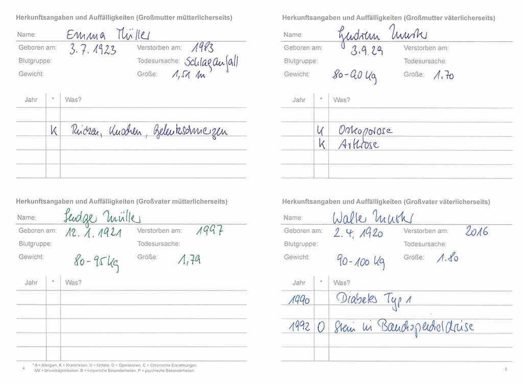 Das Gesundheitsheft – Inhaltsbeispiel